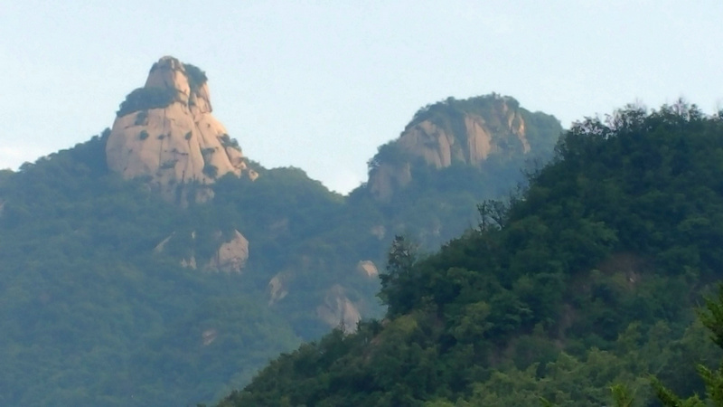 QQ图片20160702021312.jpg