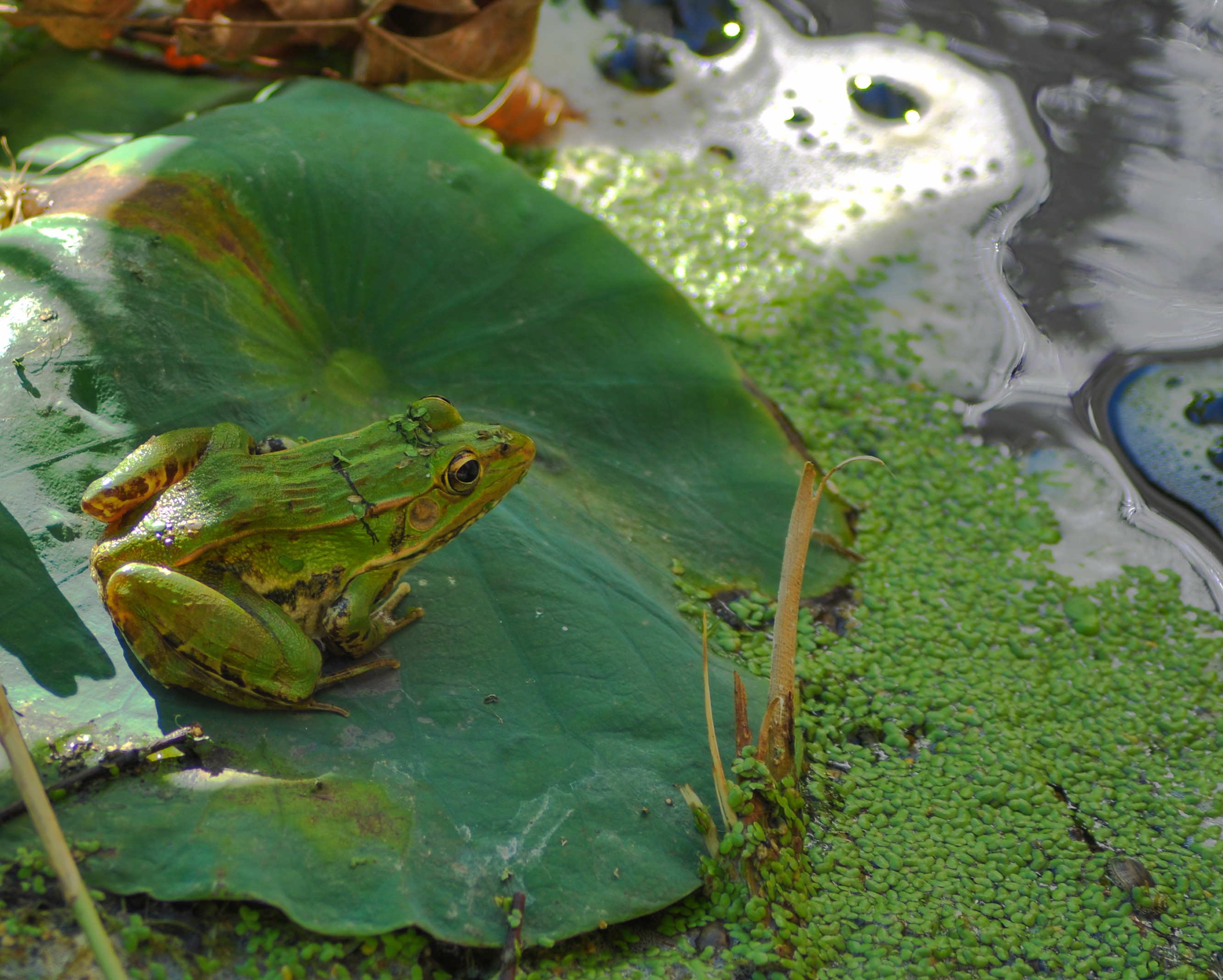DSC_0364F_副本.jpg