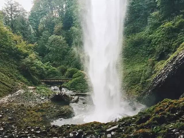 50560d32a8273873b3ec4ce67ee78f4a.jpg