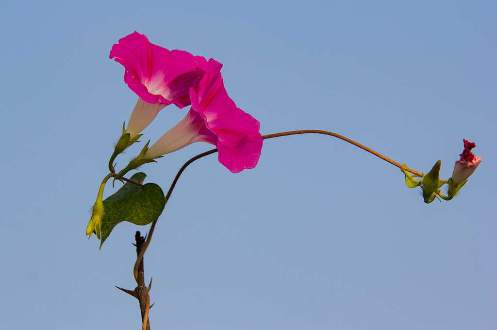IMG_0083副本1.jpg