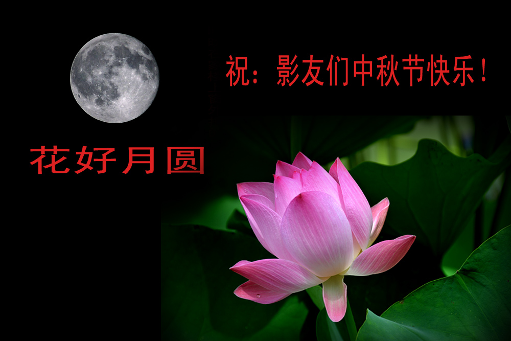 花好 月圆 (8).jpg