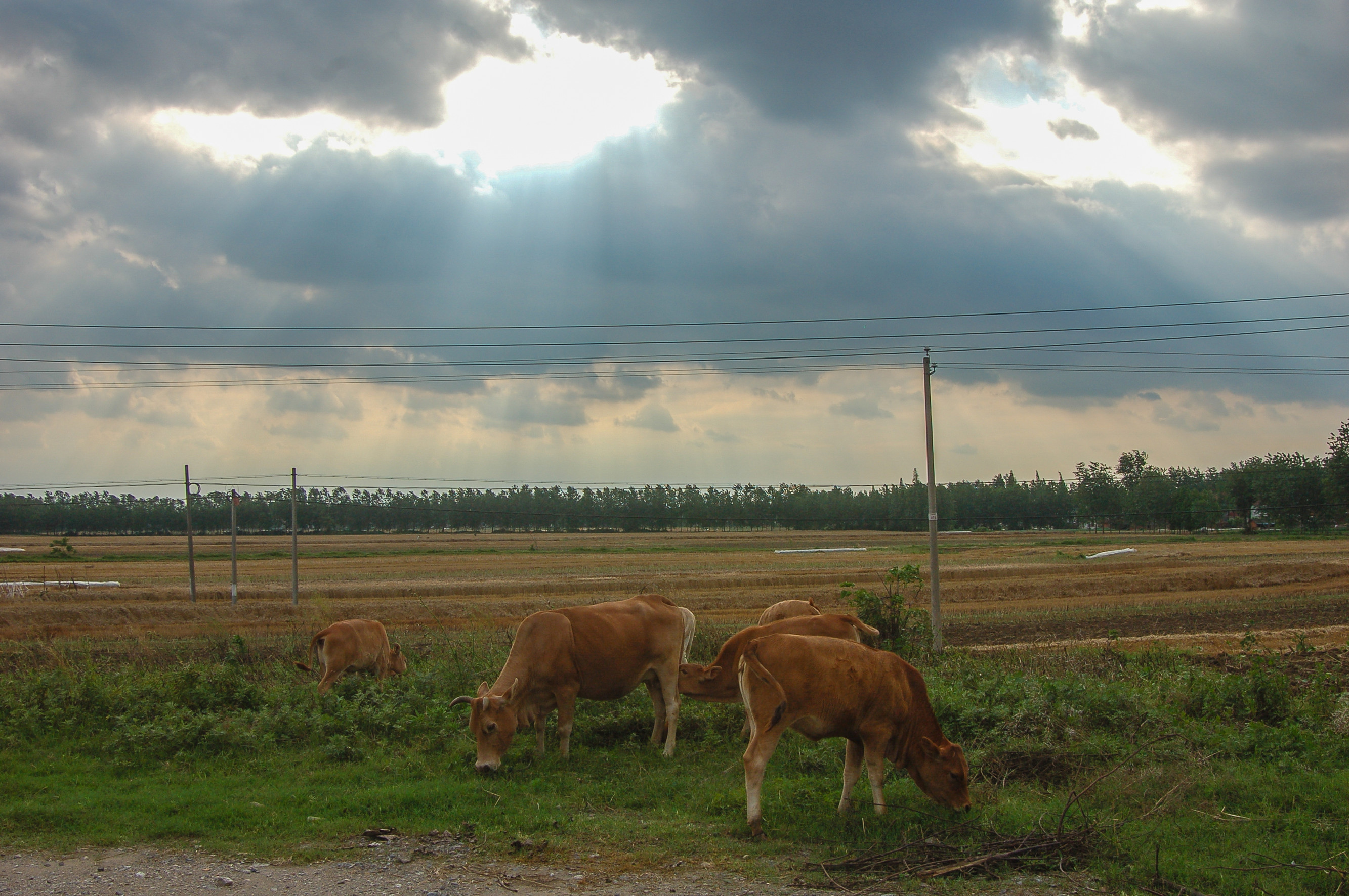 DSC_6849_副本.jpg