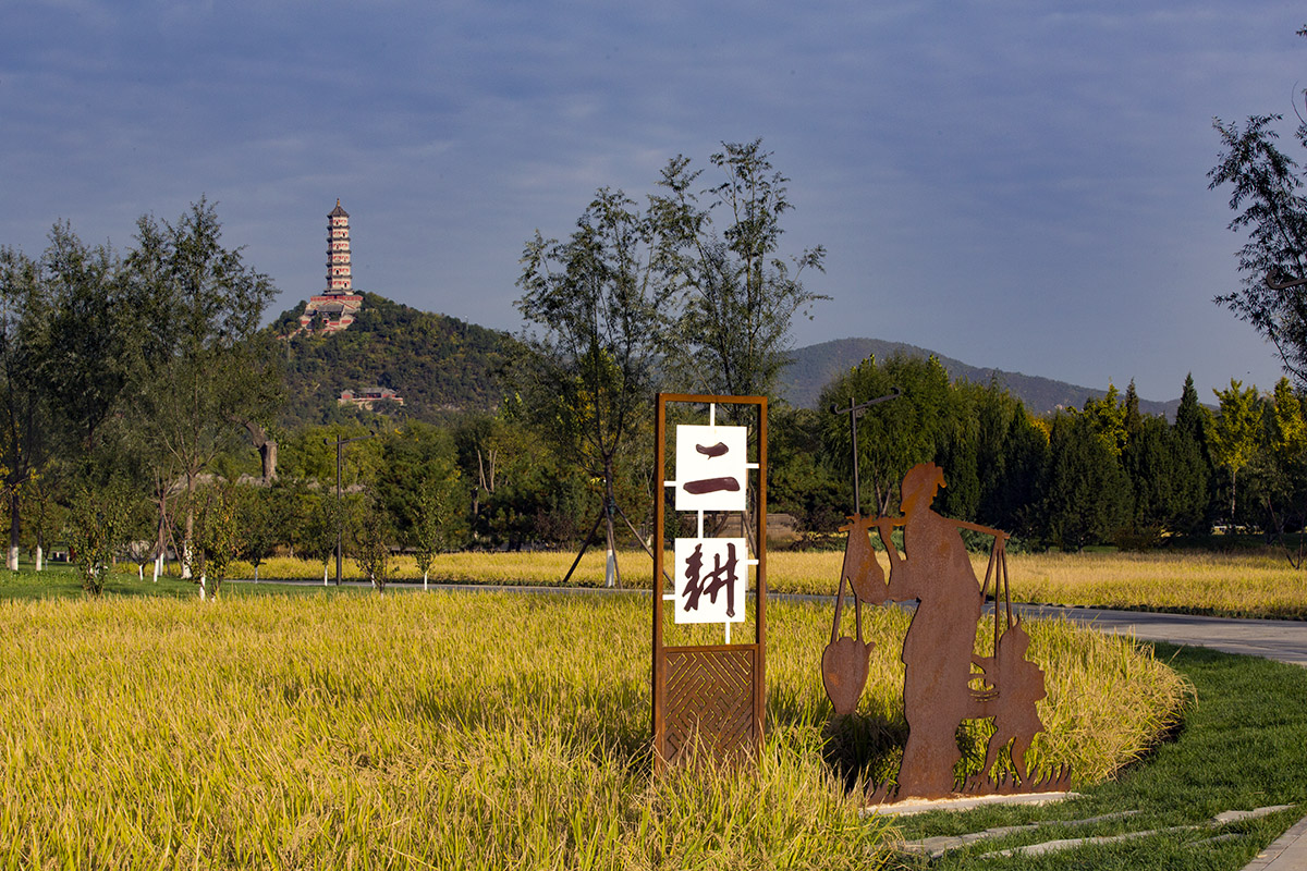 y02.jpg