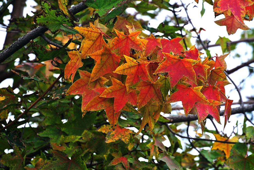 DSC_9083副本.jpg