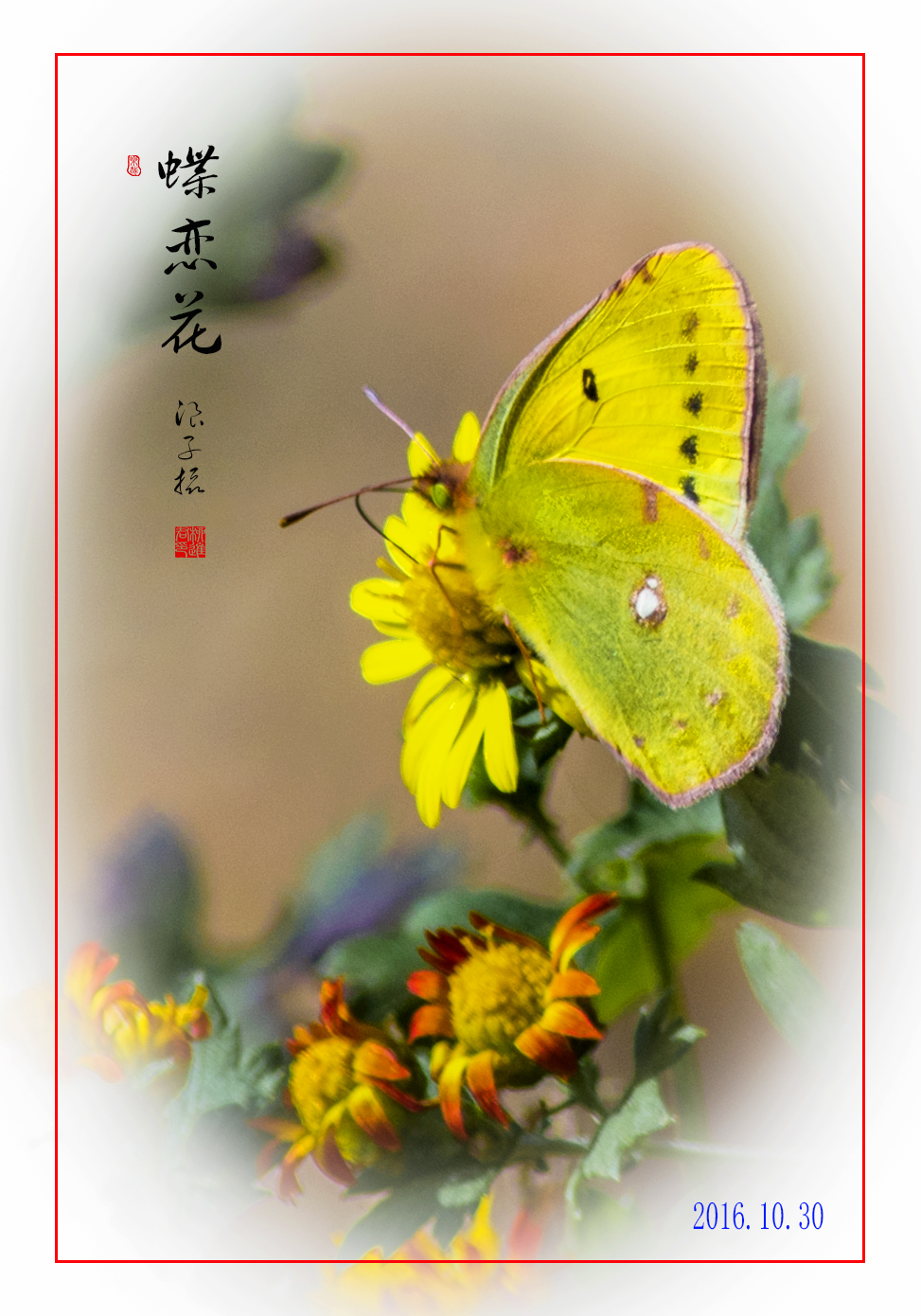 LIU_4504副本.jpg