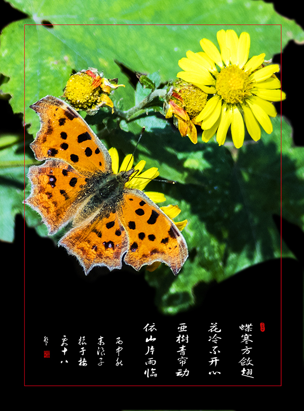 LIU_4521副本.jpg
