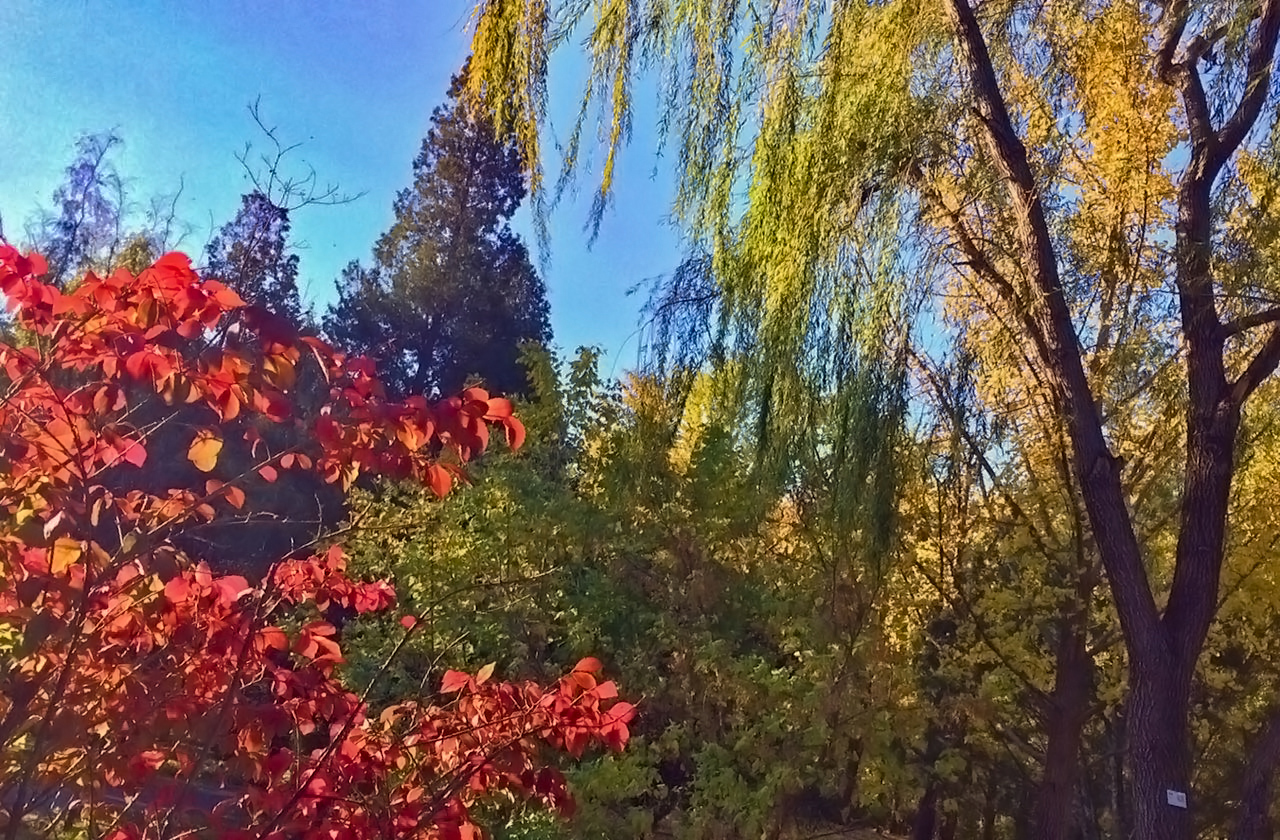 y04.jpg