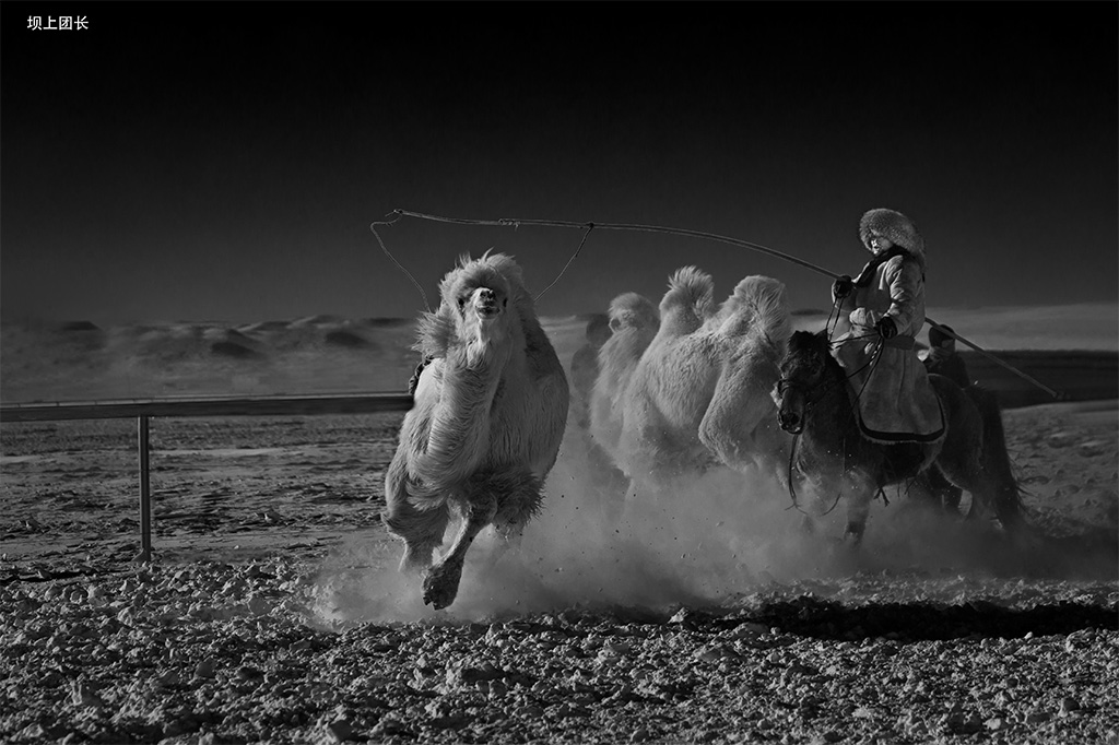 AT2Y0343-1.jpg