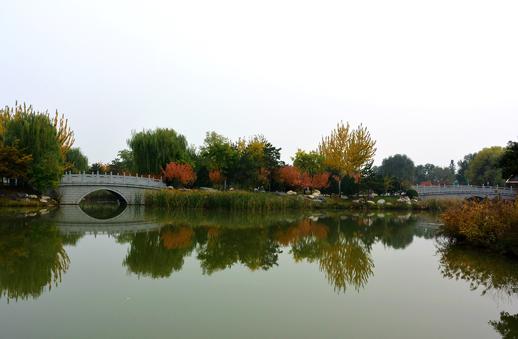 DSC_3437副本.jpg