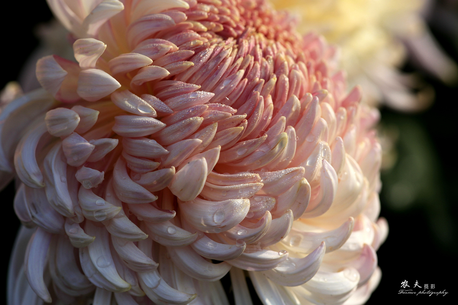 5D3A8887_副本.jpg