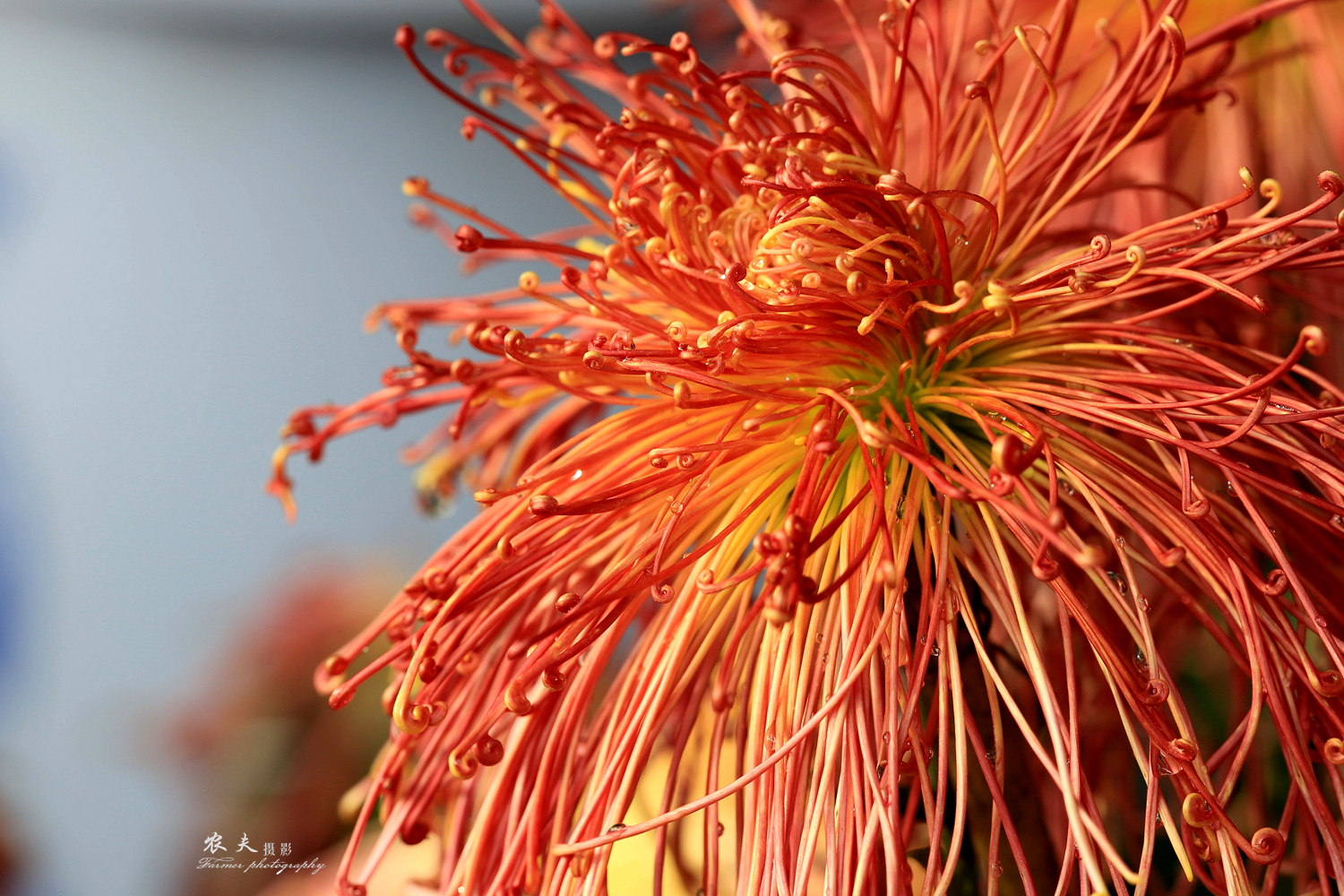 5D3A8926_副本.jpg