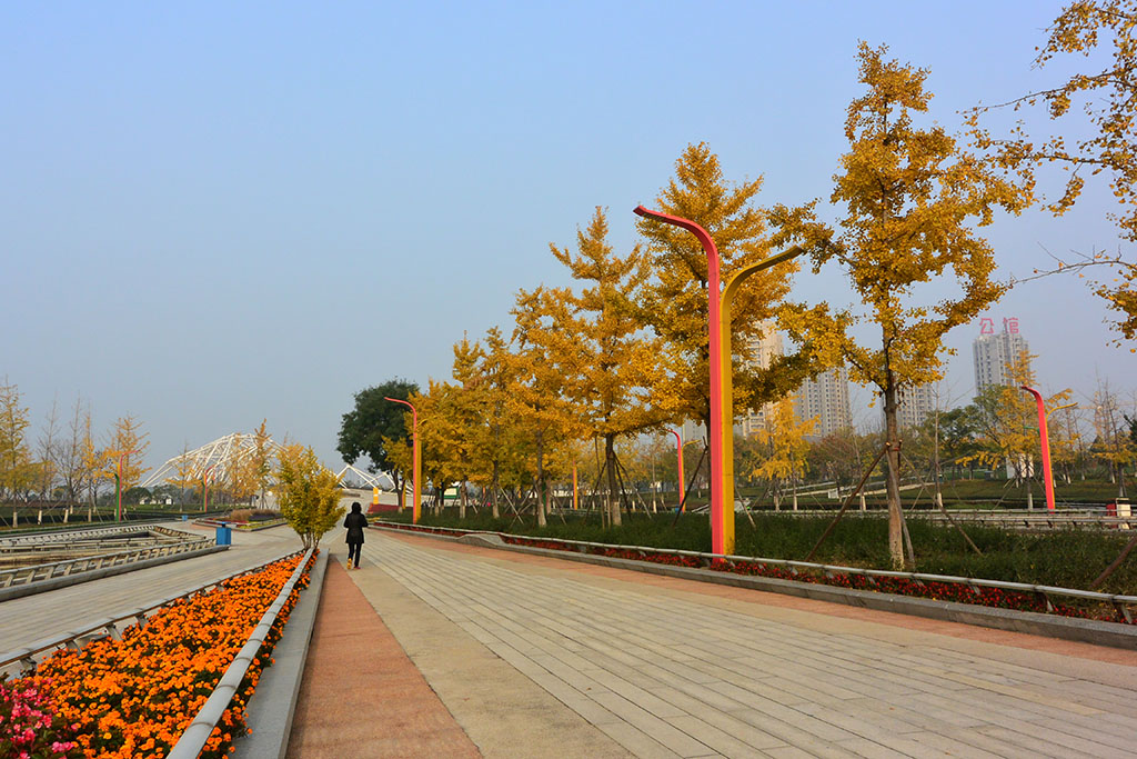 DSC_3467副本.jpg
