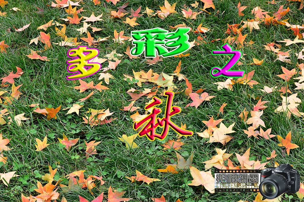 DSC_3518副本..jpg