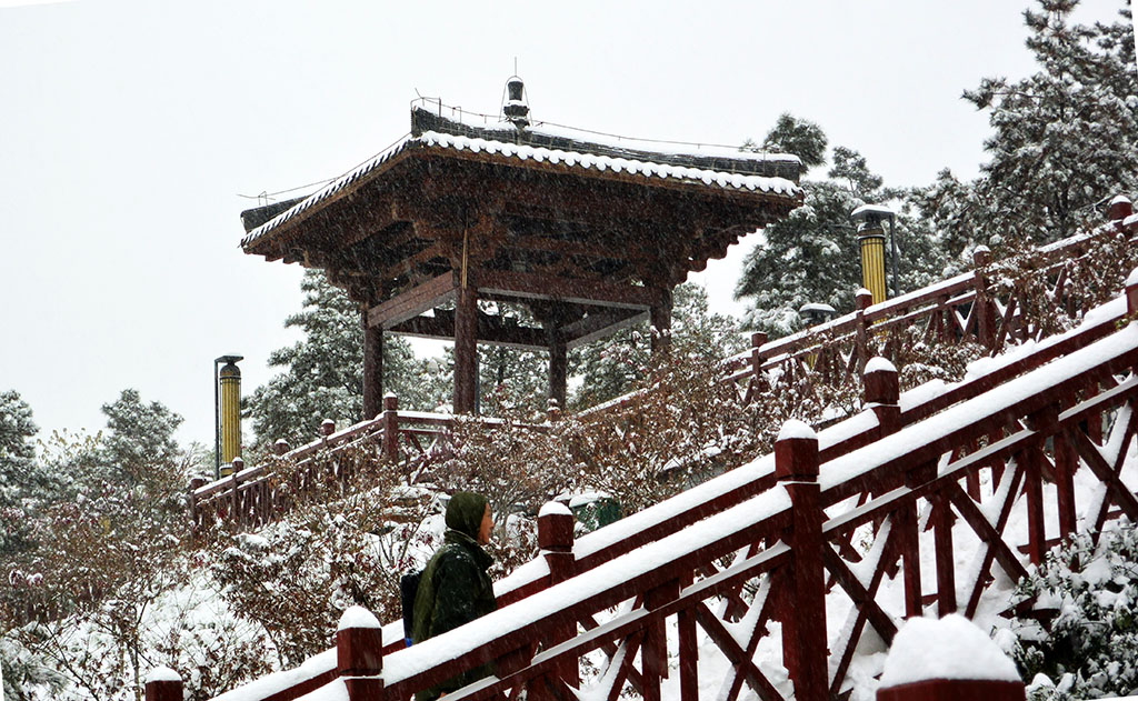 DSC_3532副本.jpg