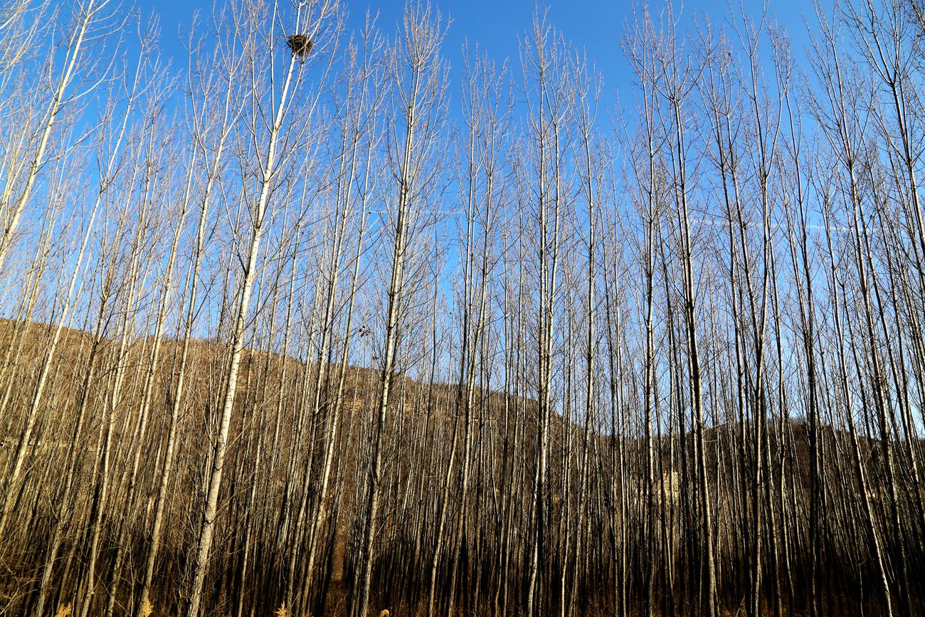 IMG_7798_副本.jpg