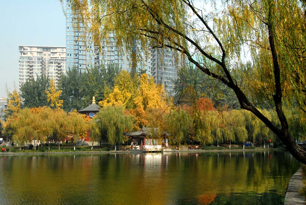 公园秋色 (1).jpg