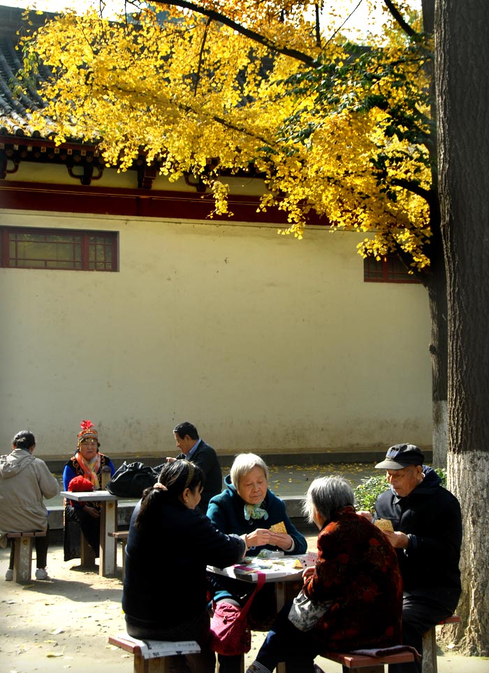 公园秋色 (18).jpg