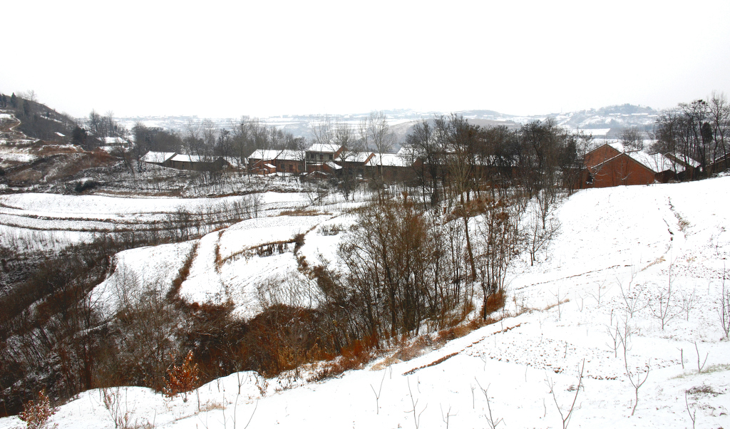 DSC_1817.jpg
