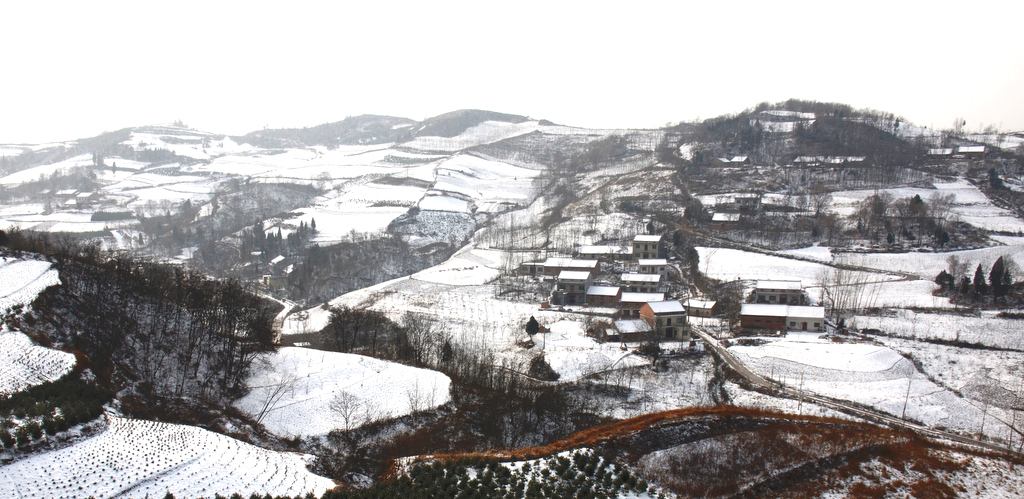 DSC_1844-001.jpg