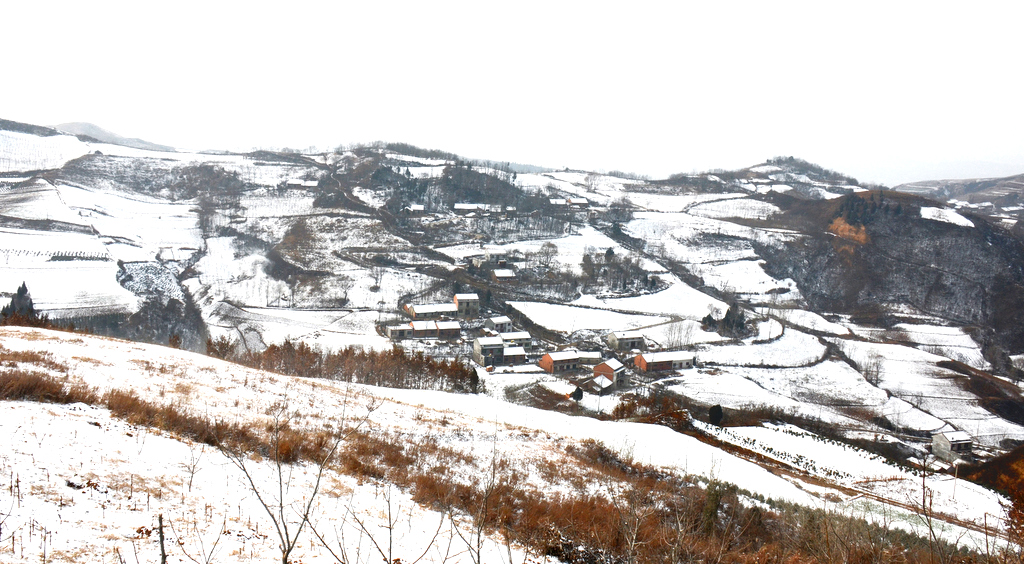 DSC_1870.jpg