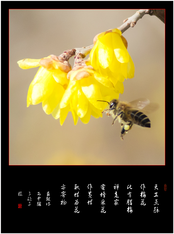 LIU_8381副本2副本.jpg