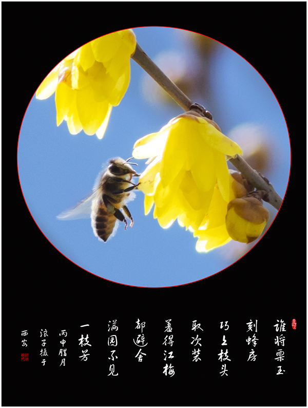LIU_8531副本副本.jpg