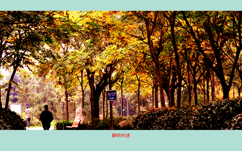 DSC_7570_副本_副本.jpg