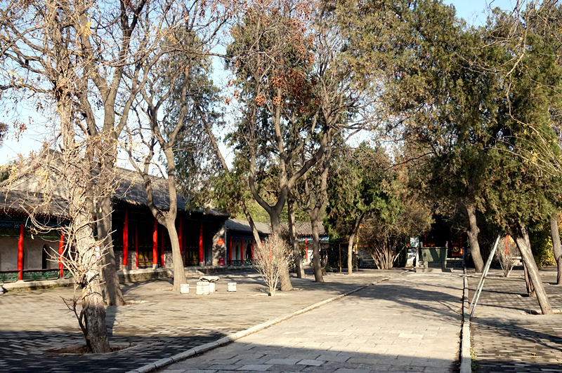 DSC08499_副本.jpg