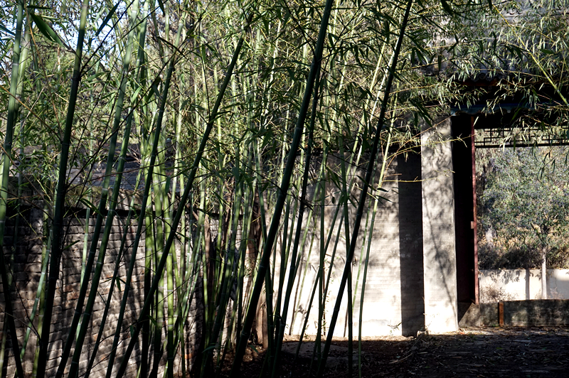 DSC08512_副本.jpg