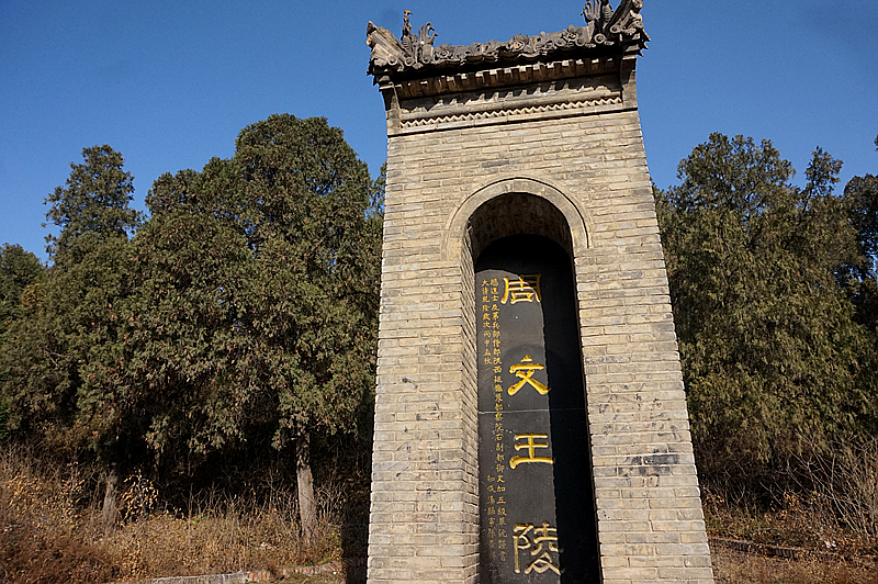 DSC08513_副本.jpg