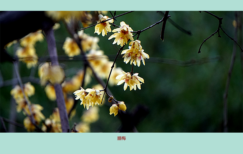 DSC08815_副本.jpg