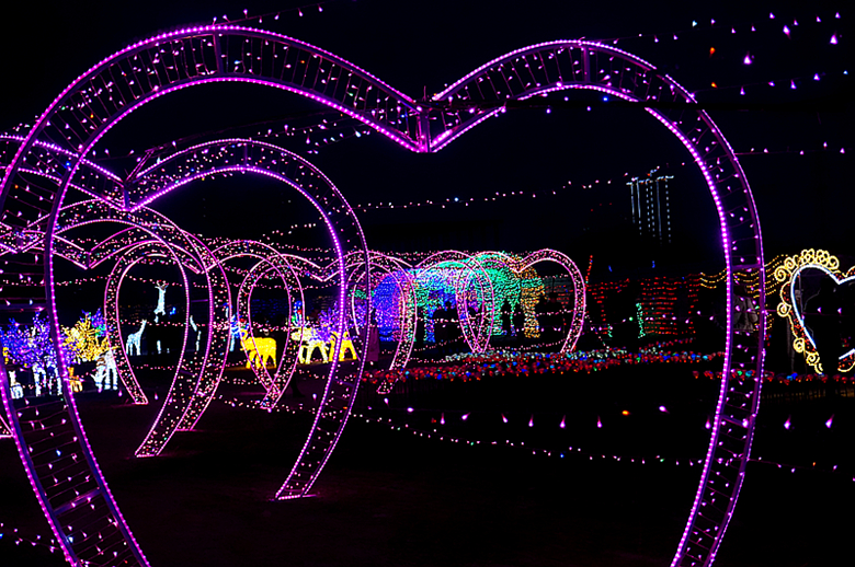 DSC09124_副本.jpg