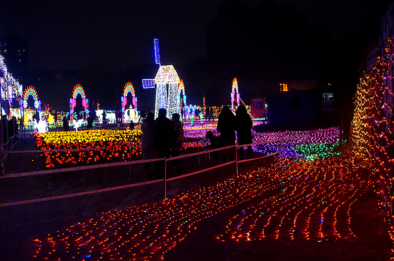 DSC09144_副本.jpg