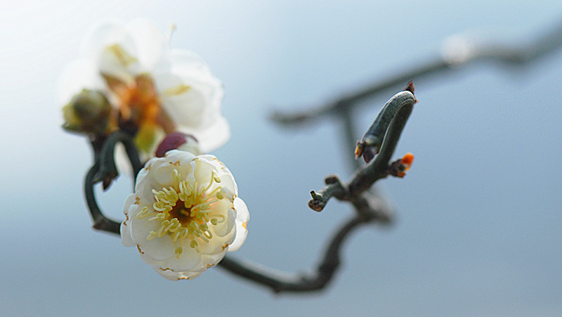 DSC_0022_副本.jpg