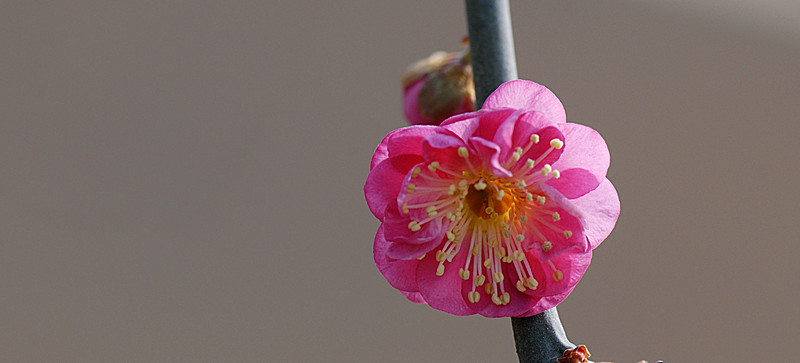 DSC_0037_副本.jpg