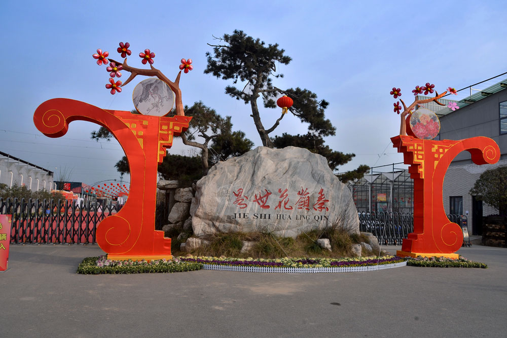 花世界 (1).jpg
