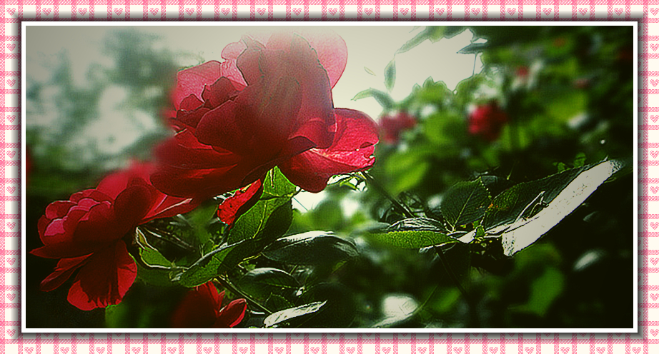 DSC01743_副本_副本.jpg