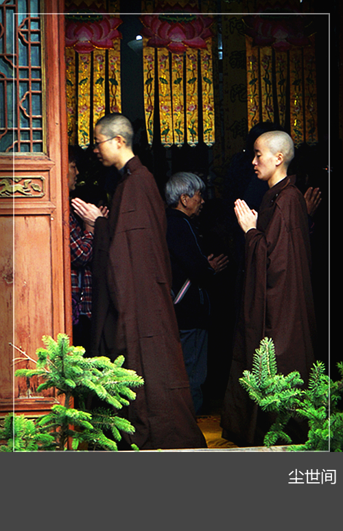DSC02836_副本_副本.jpg