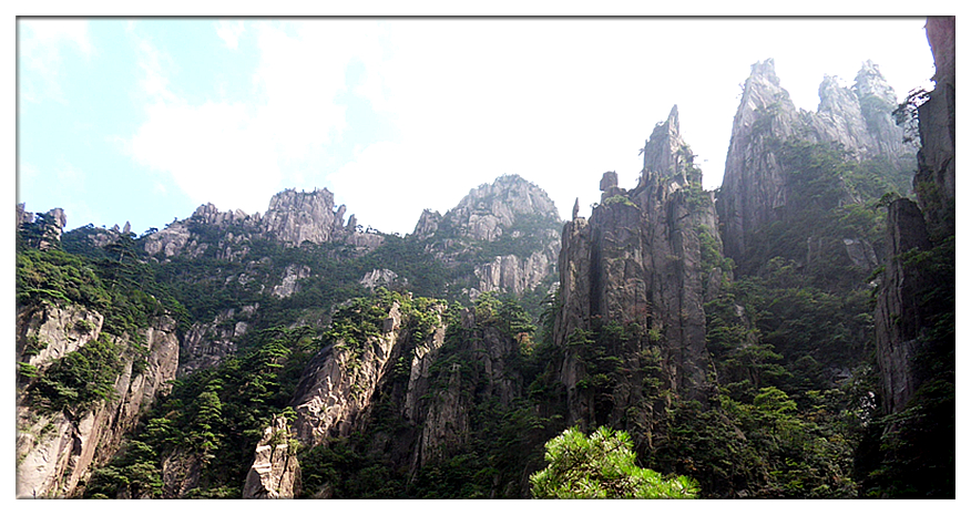 SDC11428_副本.jpg