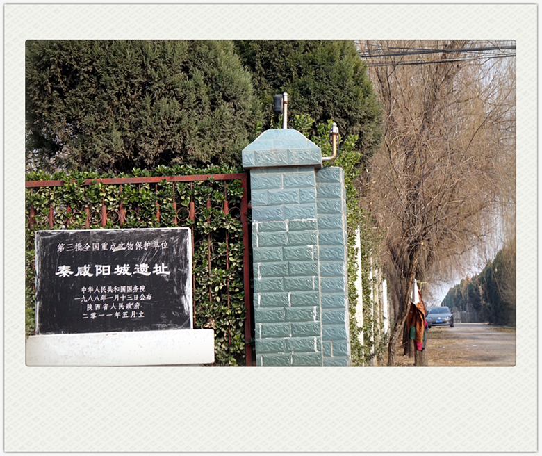 DSC09319_副本.jpg