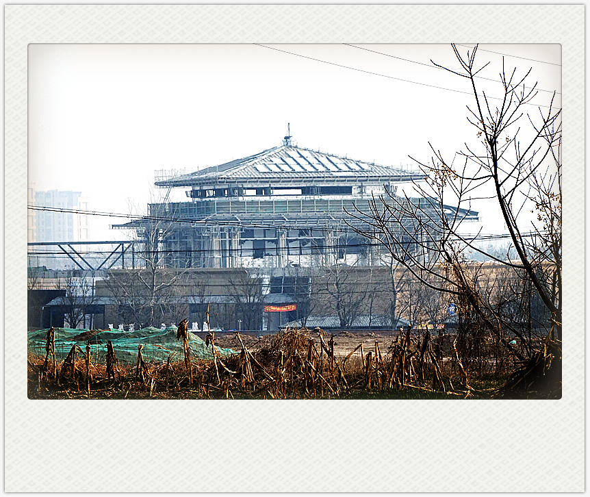 DSC09342_副本.jpg
