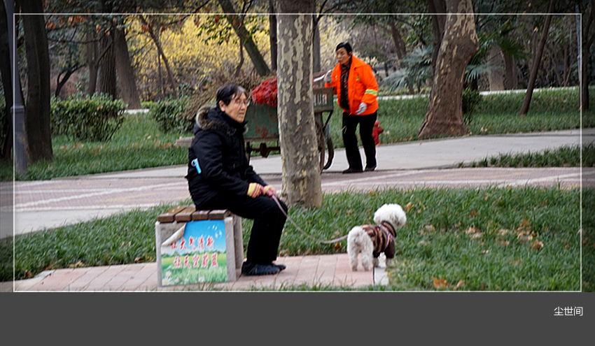 DSC08813_副本.jpg