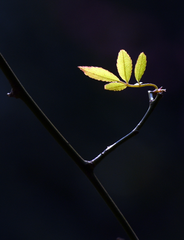 DSC_6126.JPG