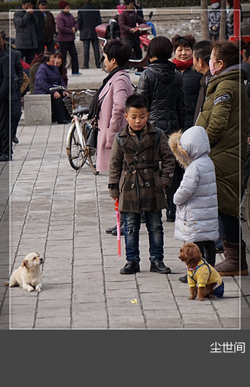 DSC09249_副本.jpg