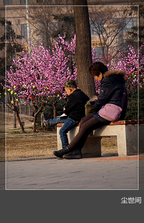 DSC08937_副本.jpg