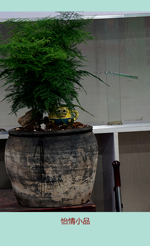 DSC09607_副本.jpg