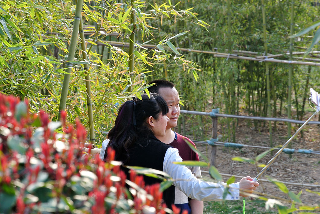DSC_0108副本.jpg
