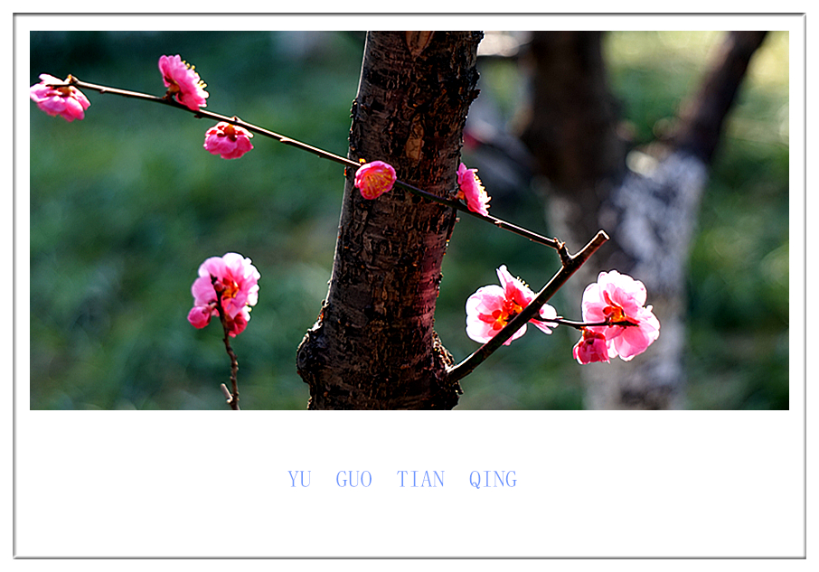 DSC09835_副本.jpg