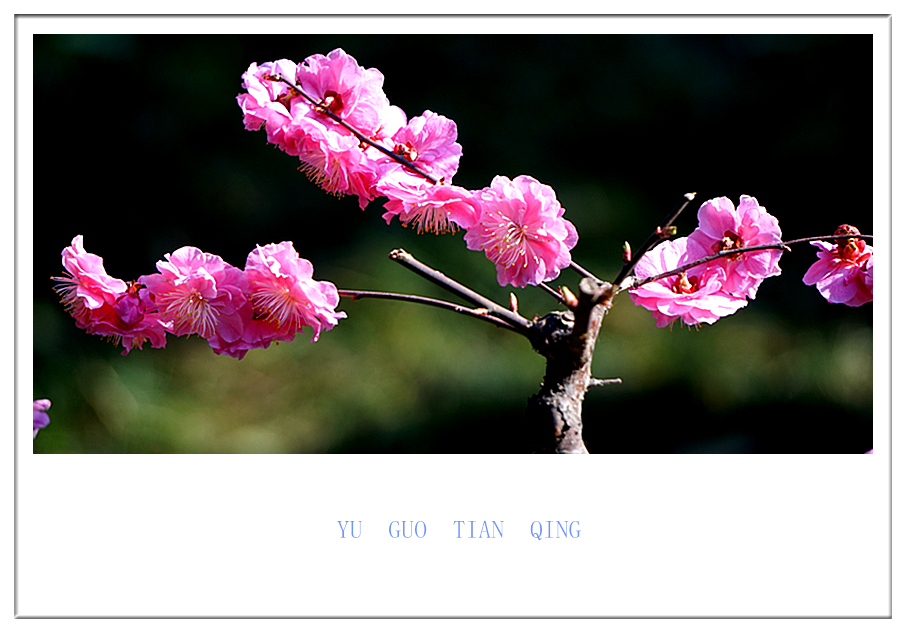 DSC09842_副本.jpg