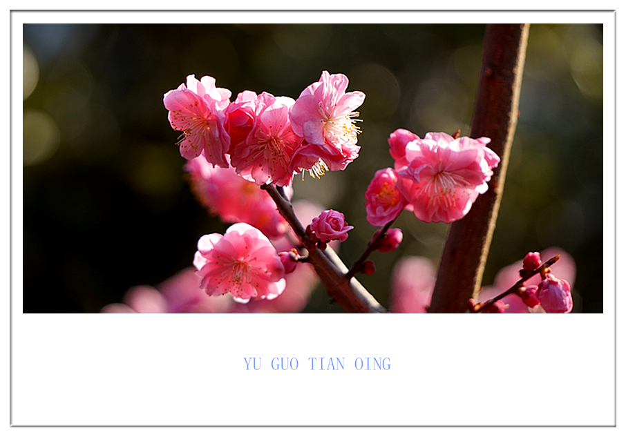 DSC09829_副本.jpg